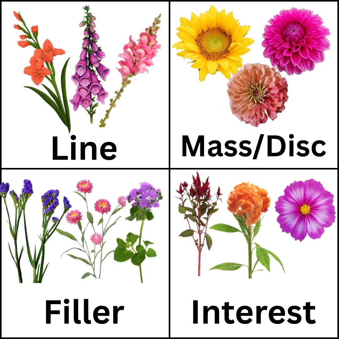 Examples of cut flowers split into the four functional flower groups: Line, Mass/Disc, Filler, and Interest.